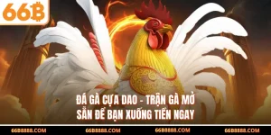 Đá Gà Cựa Dao – Trận Gà Mở Sẵn Để Bạn Xuống Tiền Ngay