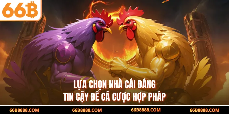 Lựa chọn nhà cái đáng tin cậy để cá cược hợp pháp