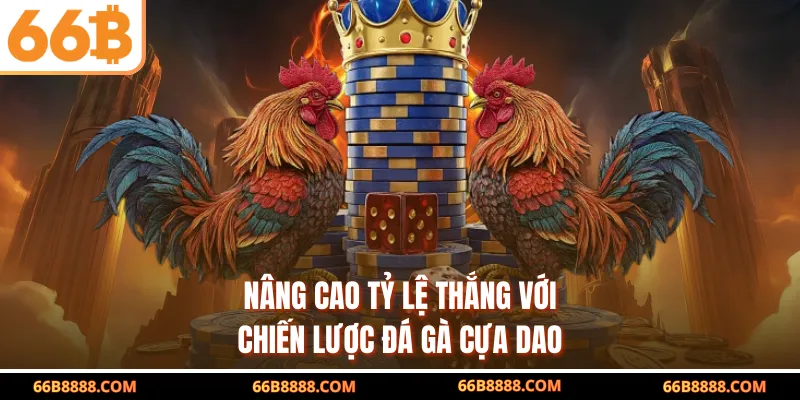 Nâng cao tỷ lệ thắng với chiến lược đá gà cựa dao