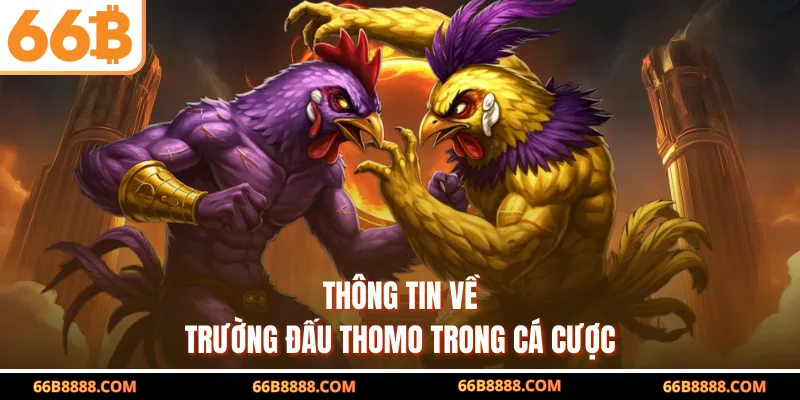 Thông tin về trường đấu Thomo trong cá cược